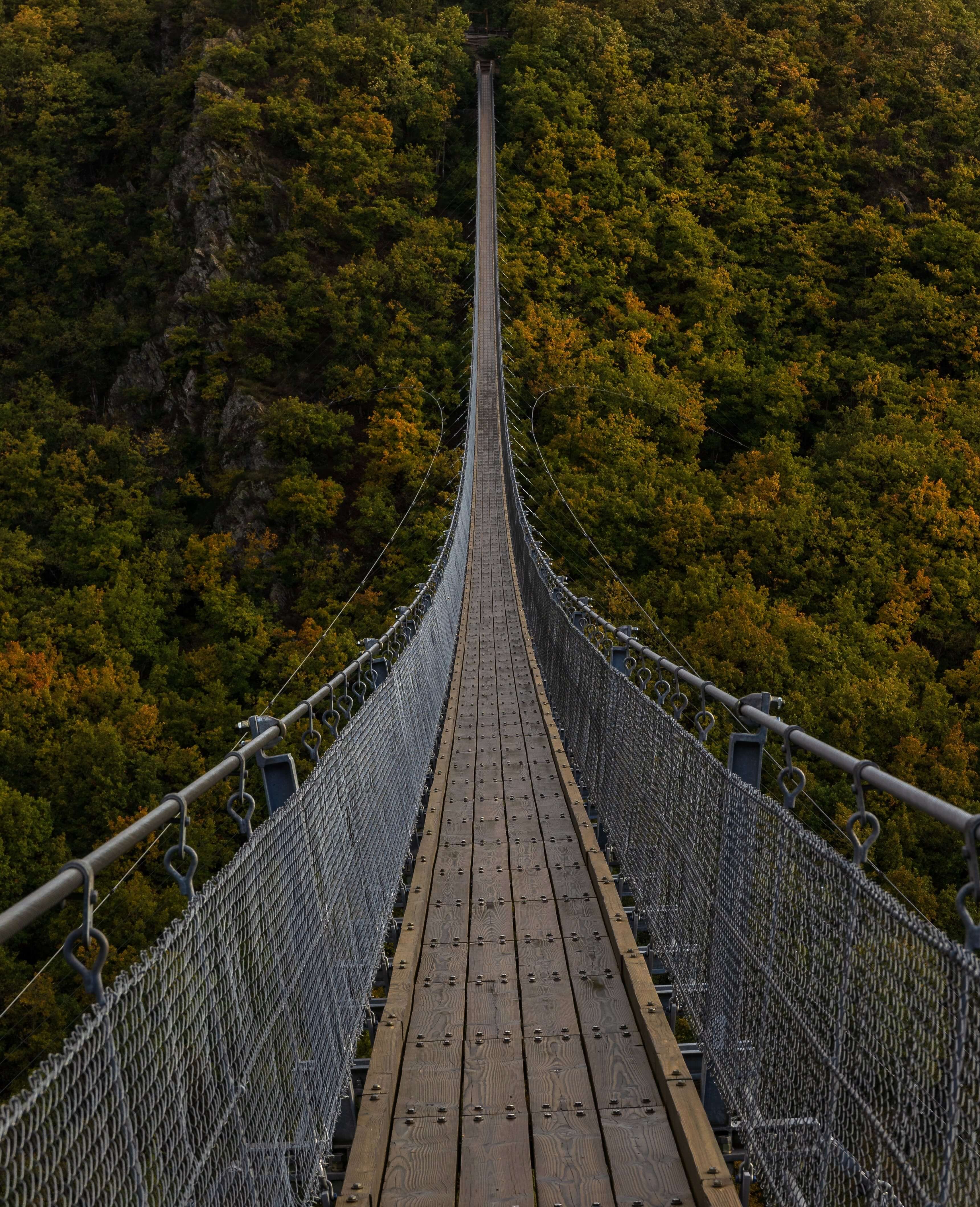 Suspension bridge